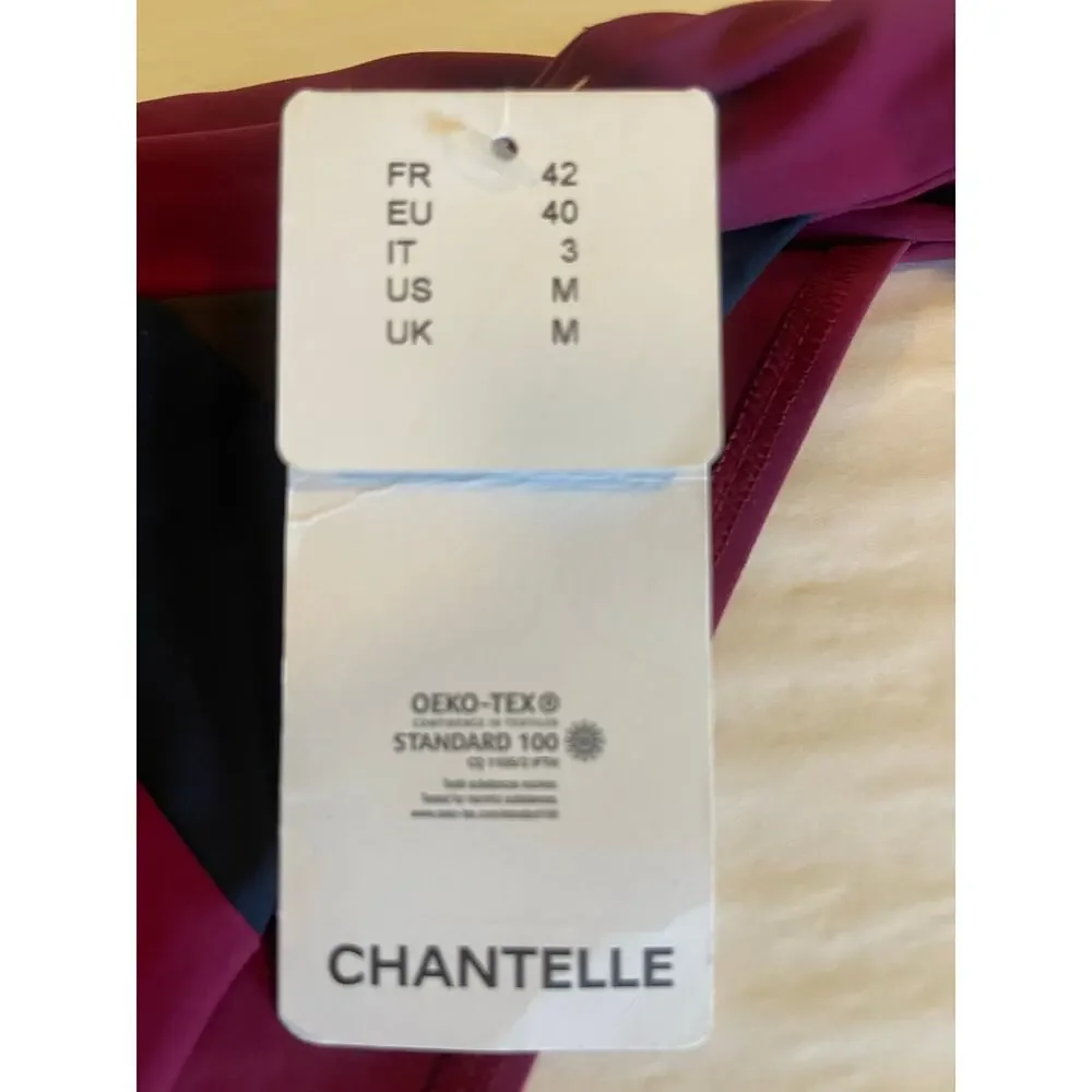NWT: Chantelle Purple Berry Magenta Wine color Bikini Bottom Size M